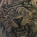 Tattoos - Monochromatic Lion - 43474